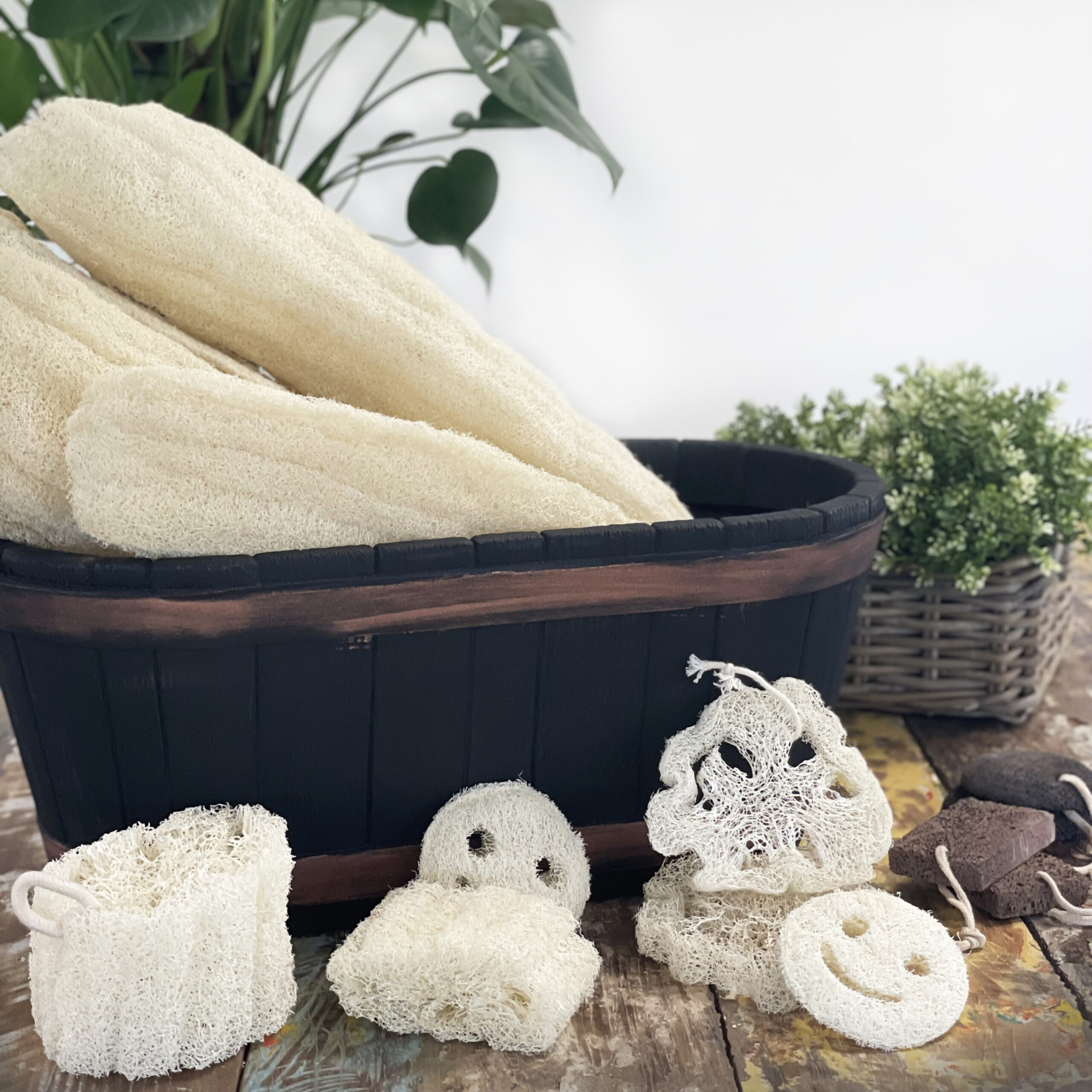 Egyptian Luxury Whole Loofah - Compressed 4