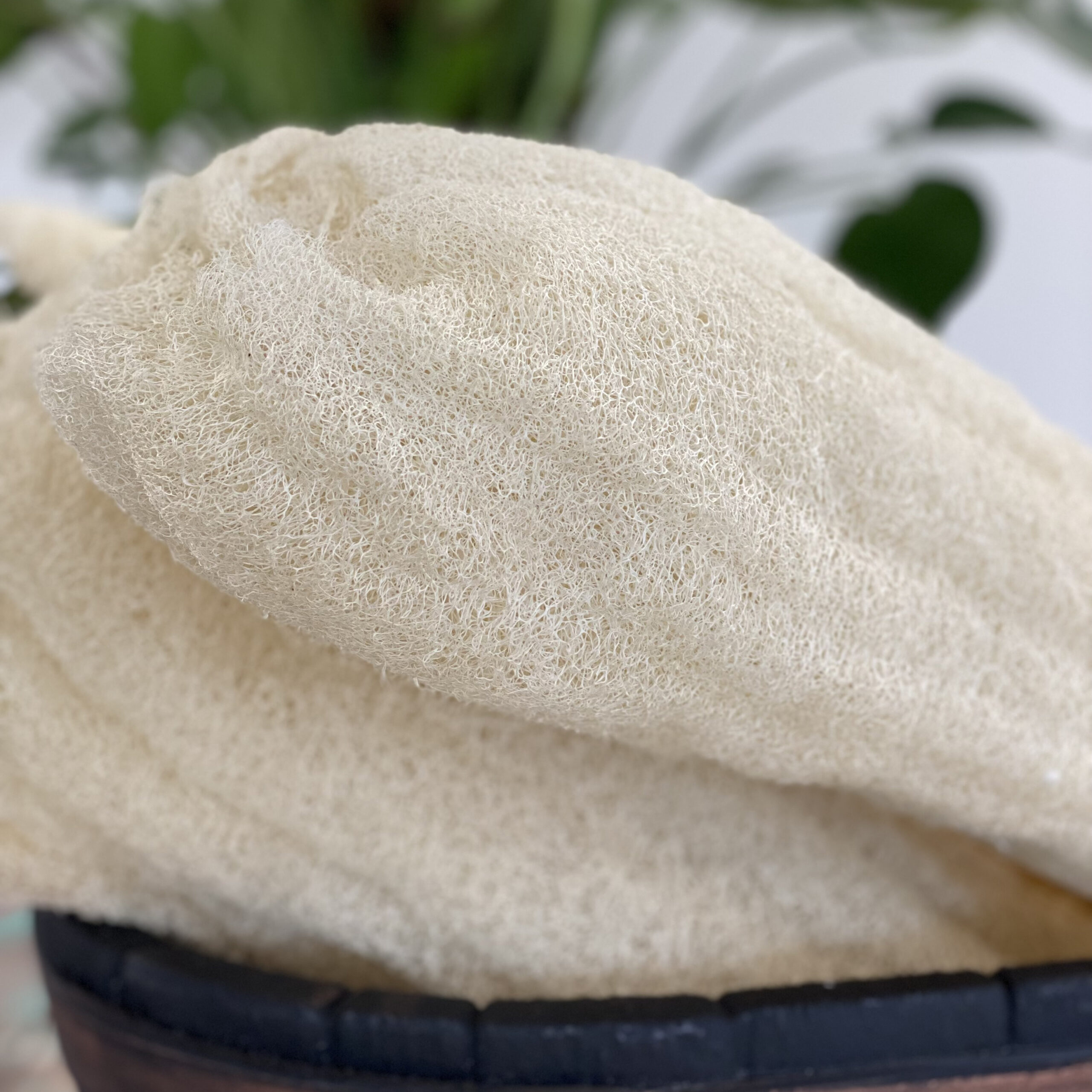 Egyptian Luxury Whole Loofah - Compressed 5