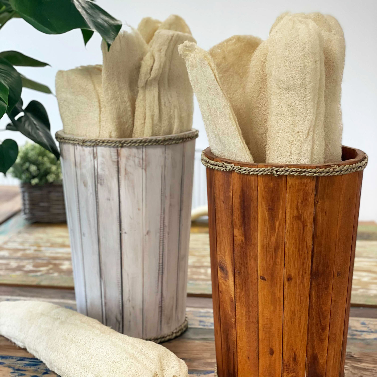 Egyptian Luxury Whole Loofah - Compressed 6