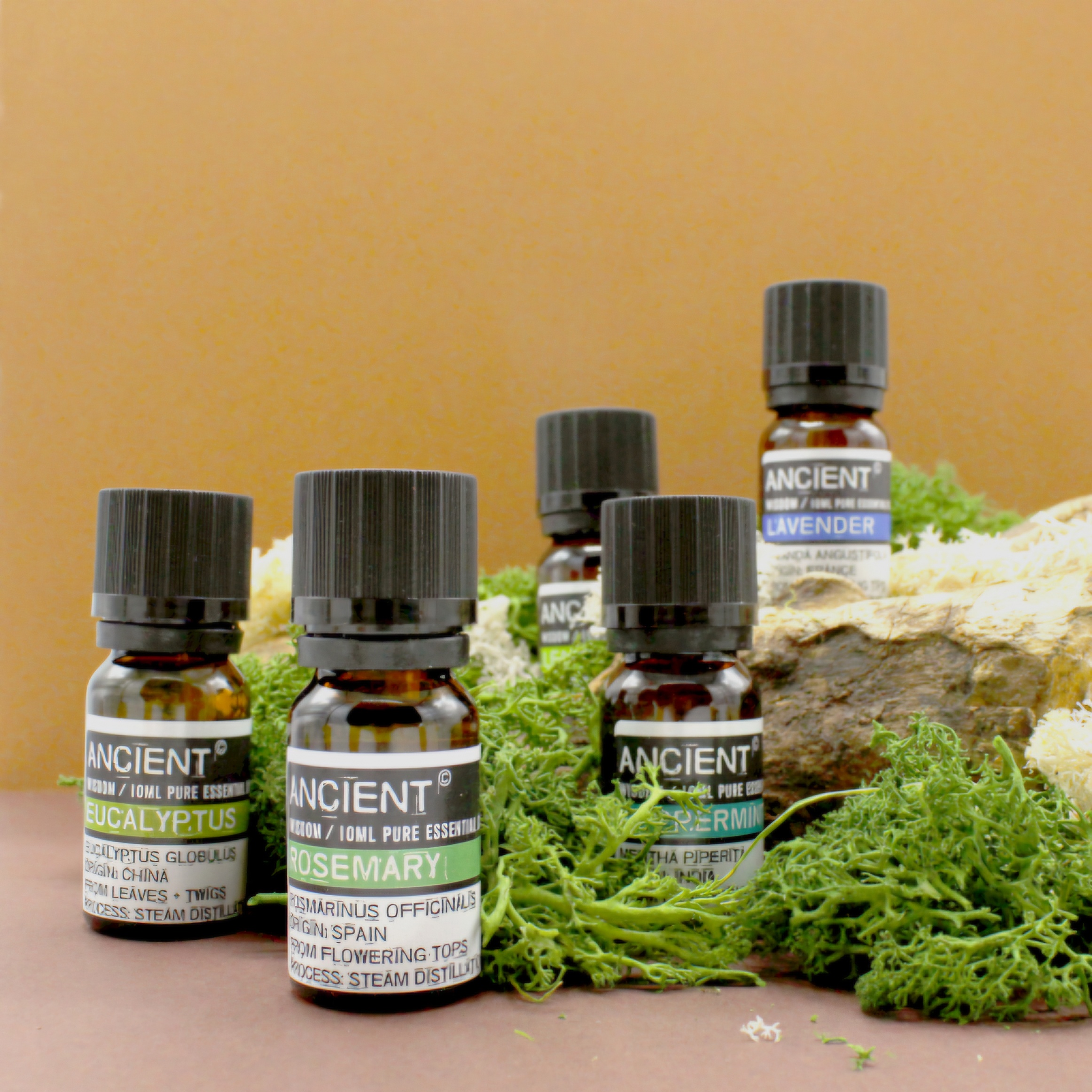 CREATOR: gd-jpeg v1.0 (using IJG JPEG v80), quality = 100?